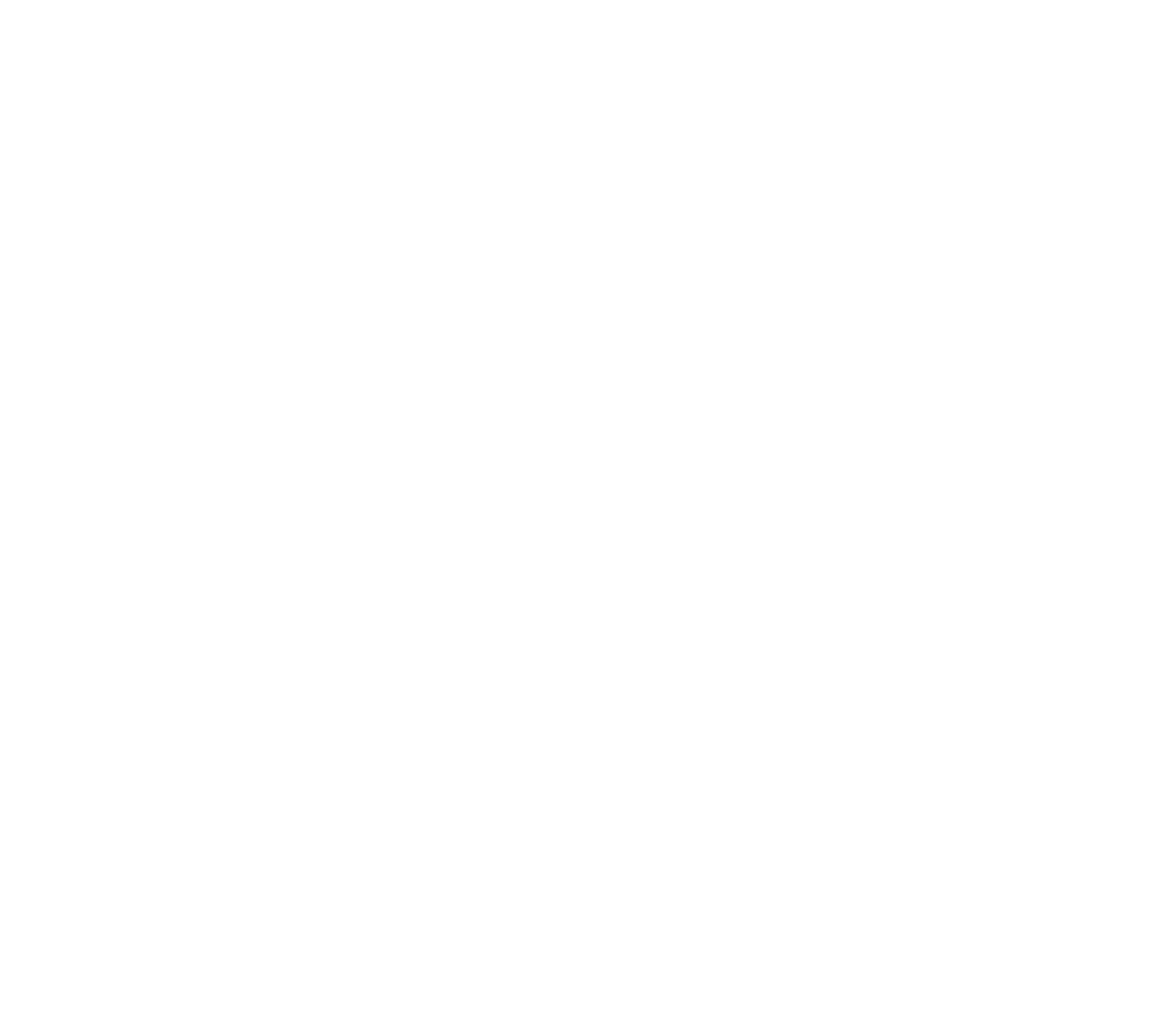 Logo VelvetPass